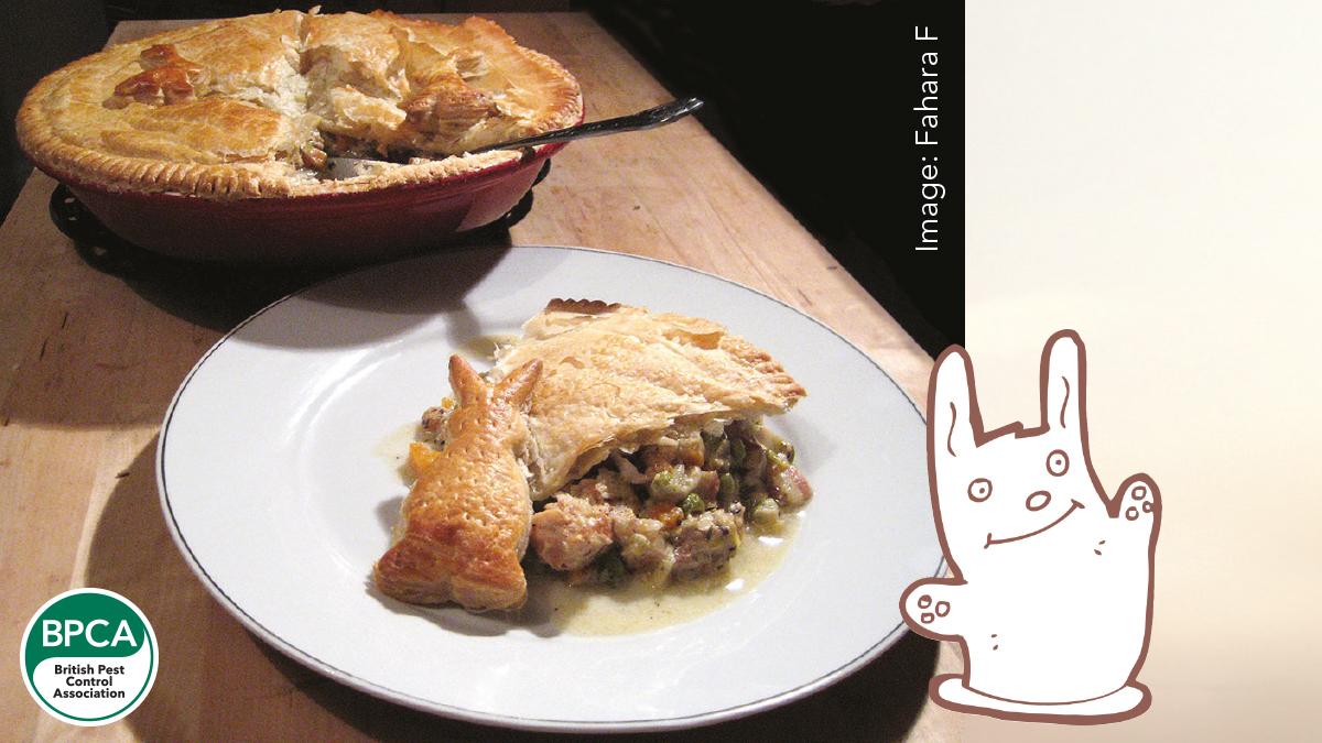 Daves traditional rabbit pie recipe